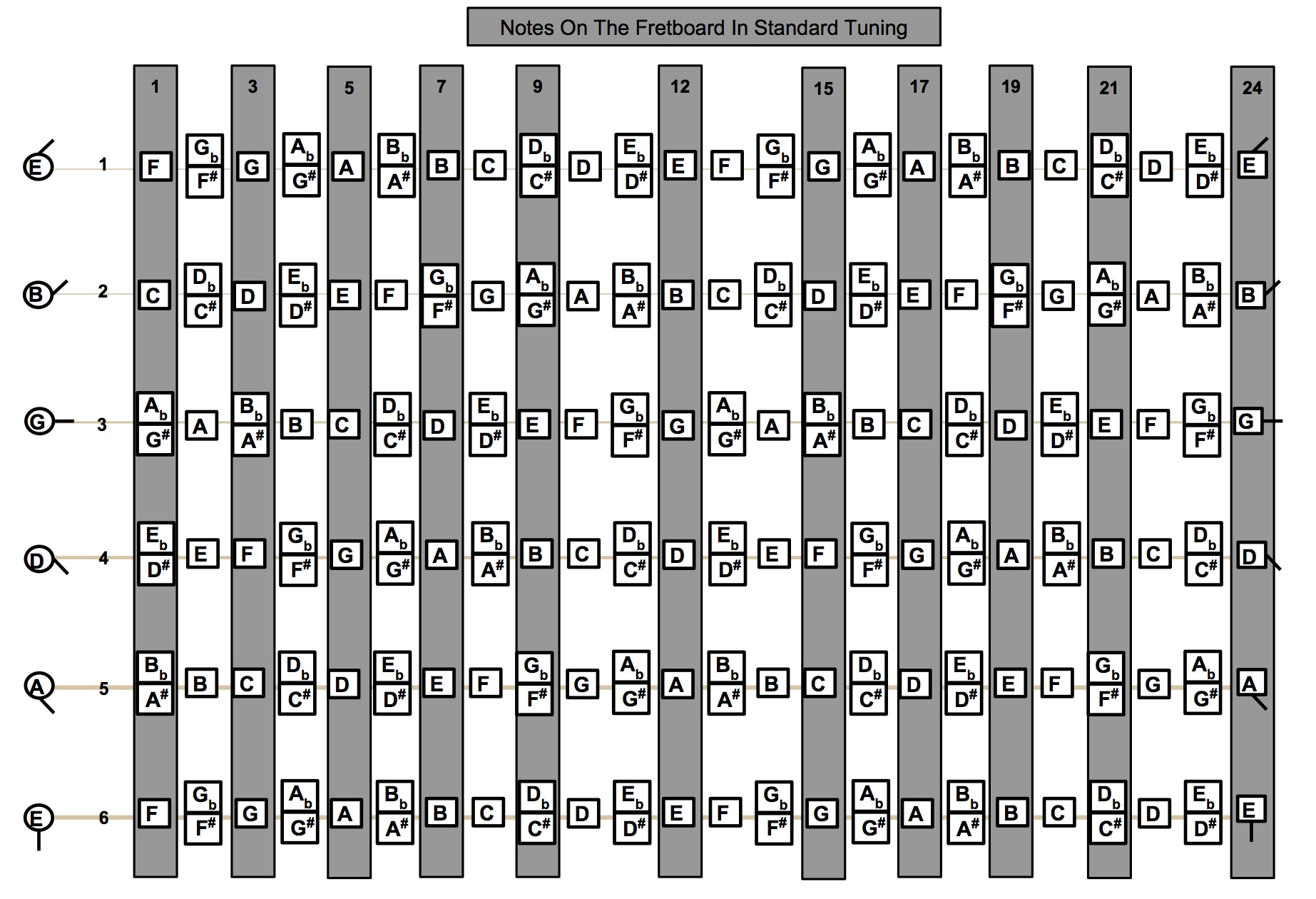 Notes On The Fretboard